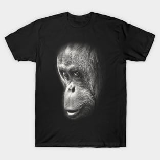 Captive Orangutan Fine Art T-Shirt